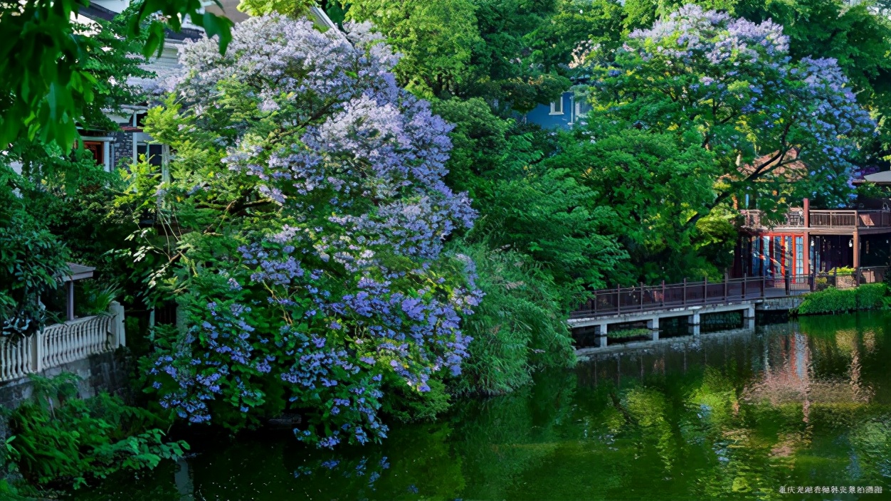 石家庄龙湖一期,石家庄龙湖新品