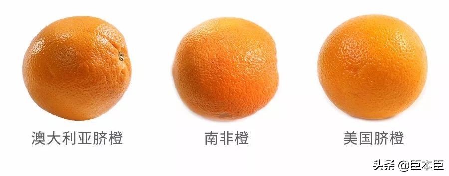 酸甜口的橙子适合怎么吃,鲜橙子怎么挑汁多的