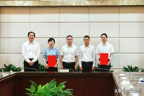 龙小红讲话,龙小红演讲