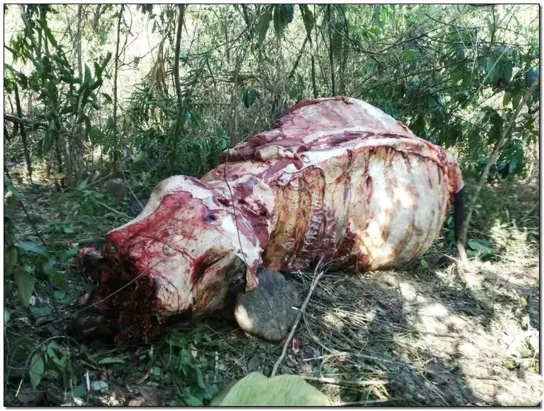 文玩的十大黑幕,文玩最让人无奈的六件事