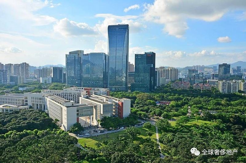 博拓咨询年终盘点|感恩不落幕,迎势再起航