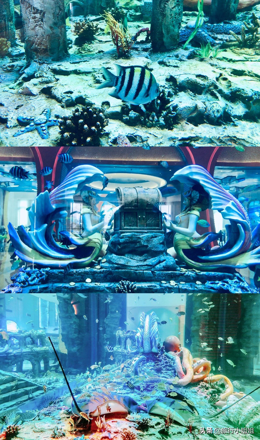 住在梦幻城堡,抚仙湖海豚湾住宿攻略