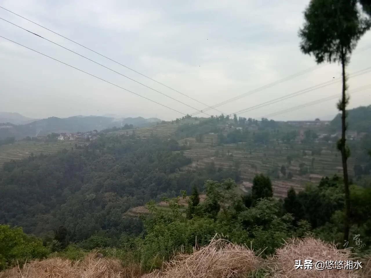 回不去的故乡视频完整版,回不去的故乡贵州完整版