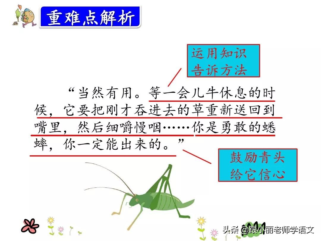 三年级上册在牛的肚子里旅行预习,三上语文在牛肚子里旅行同步讲解