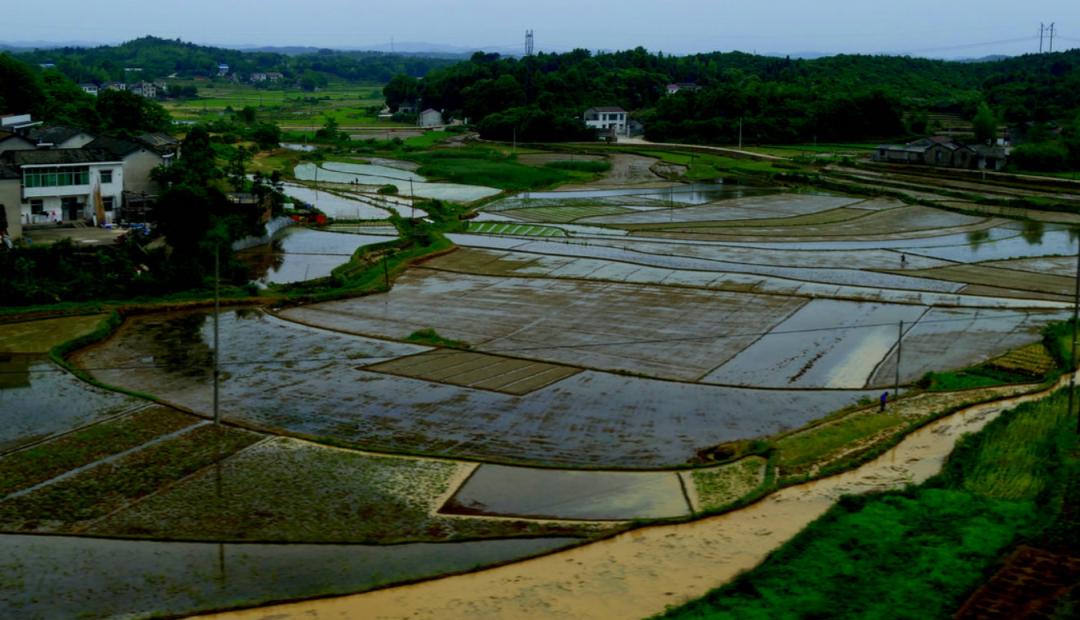 水蛭被吃进肚子里会存活吗,将水蛭放入冰箱还能活