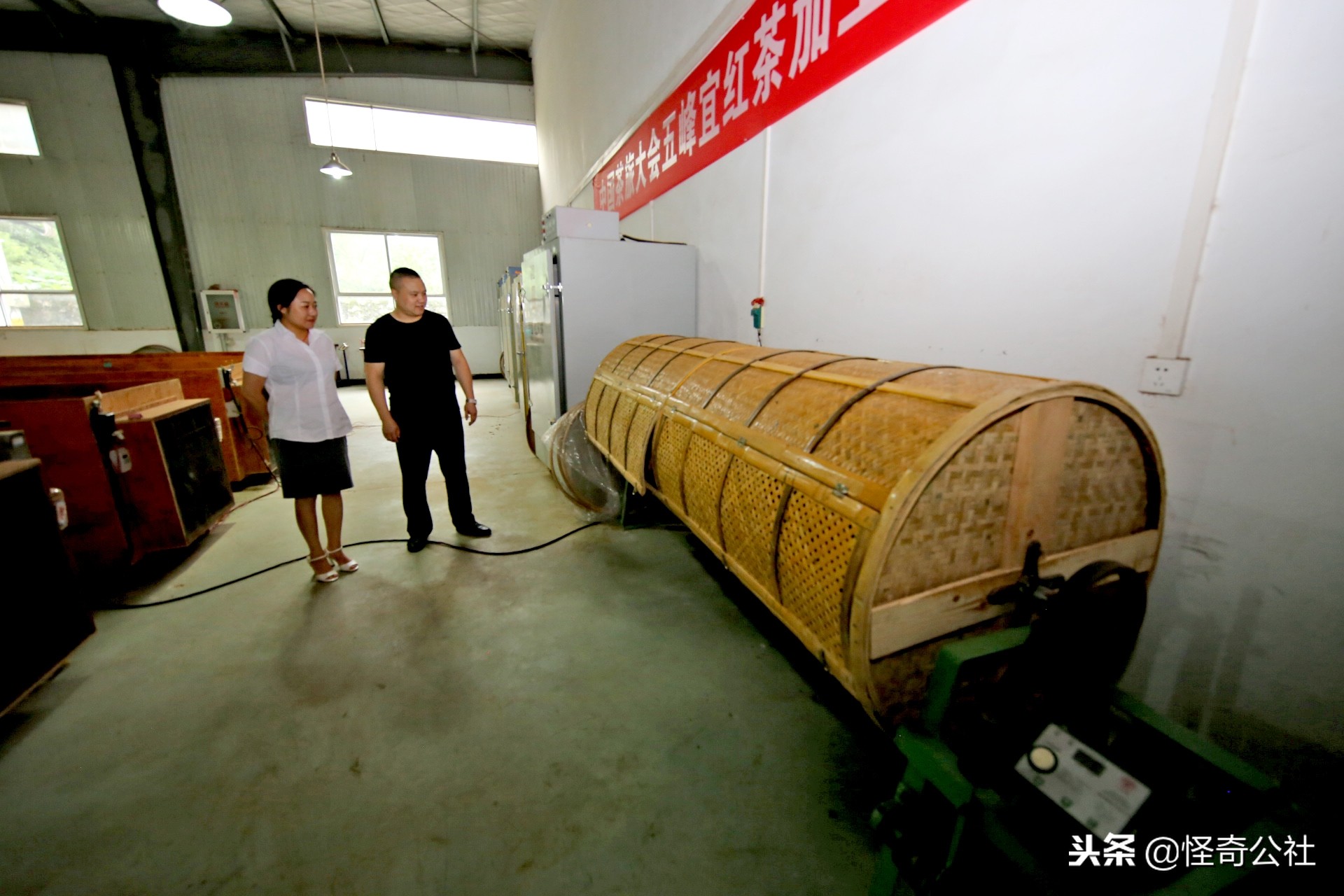 五盖山云雾贡茶历史渊源,高山云雾茶五指山红茶特点