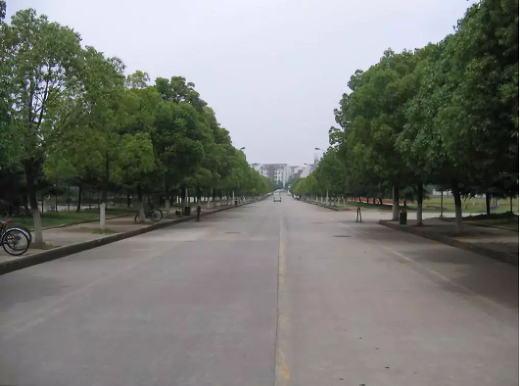 武汉最强中学,武汉市最厉害的中学