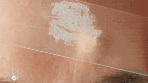 最好用的芝士皂,芝士除螨皂推荐