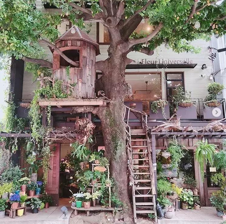 日本最有名的花店,日本青山花店