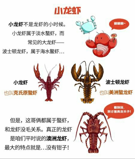 盱眙龙虾到底是什么龙虾,盱眙龙虾和潜江龙虾谁更有名