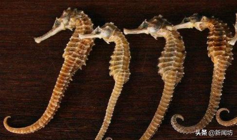 2岁女童*体下**间断性出血，还有异味！母亲怀疑性早熟，原因意外