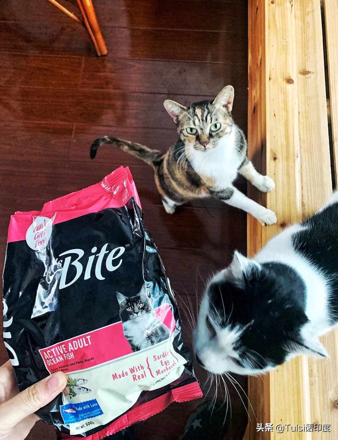 印度猫粮市场 (印度猫粮批发市场)