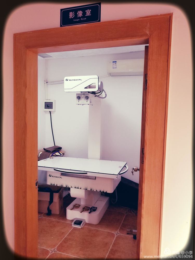 珠海宠物免费治疗,珠海哪里有宠物美容学校