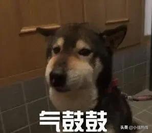 男子还完车贷发现租车,贷款买车变租车后续