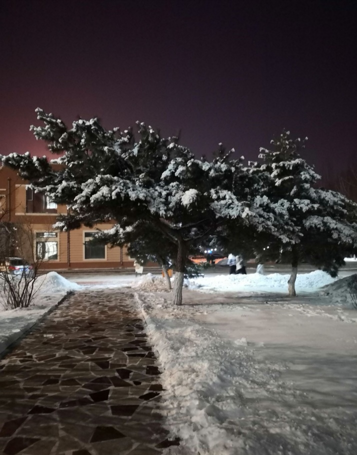 黑龙江省财经大学,黑龙江财经学院一本