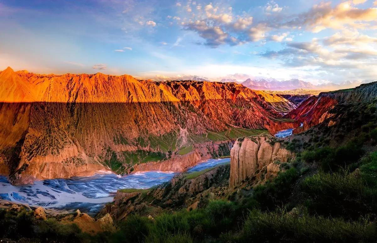 梵高画不出的向日葵,梵高画中的风景