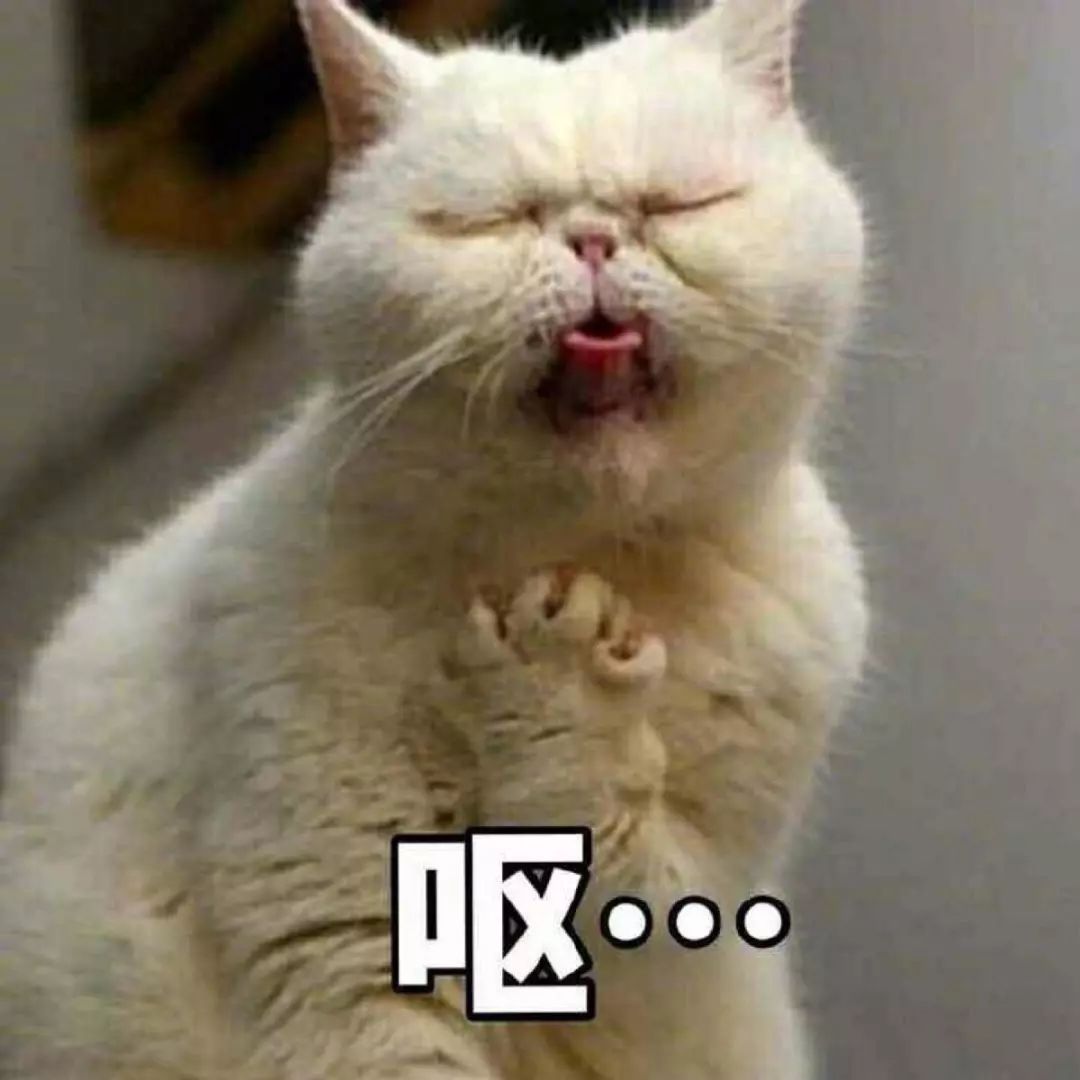 猫呕吐的原因毛球症 (猫咪呕吐毛球是怎么回事)