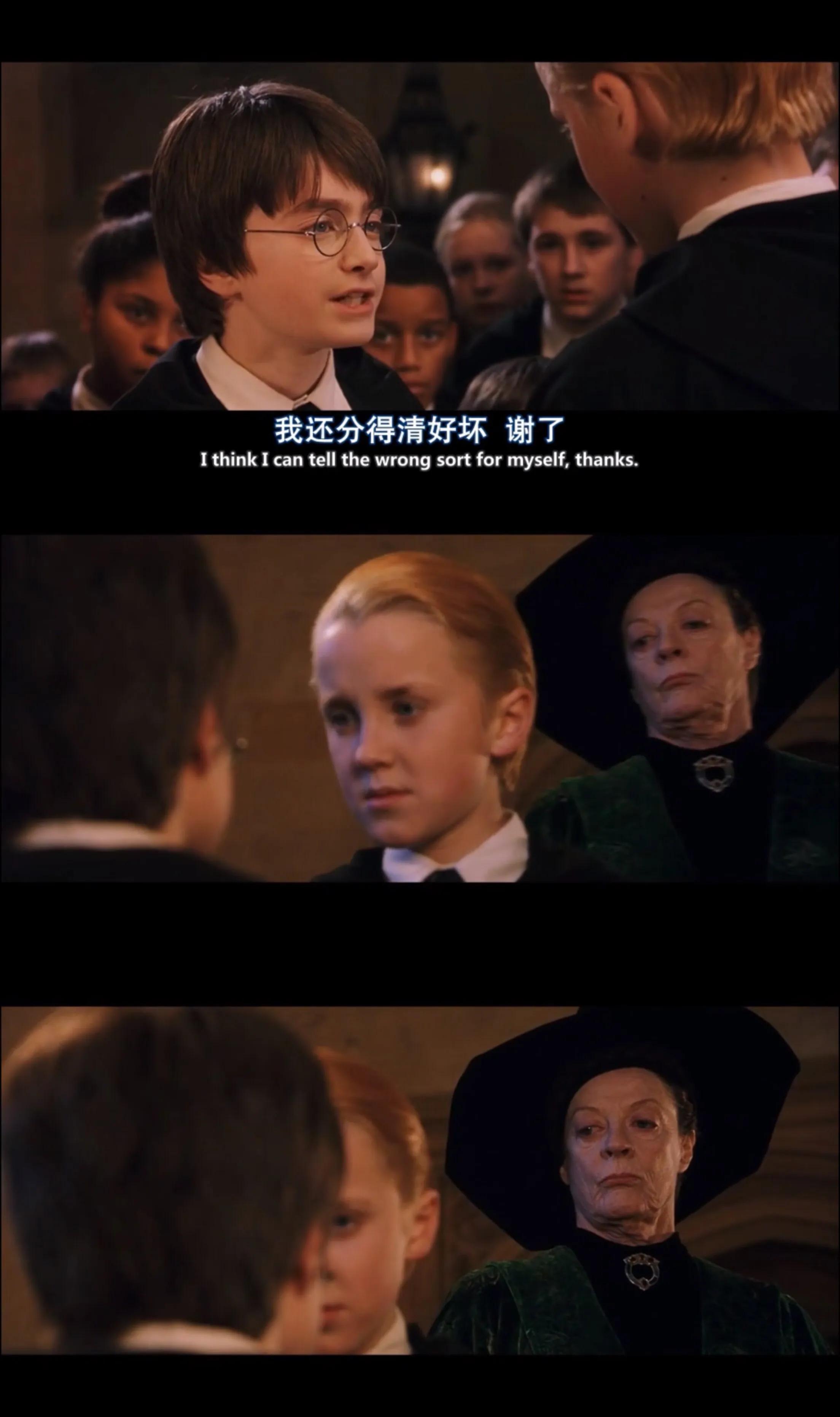 德拉科马尔福七年,德拉科马尔福十件事