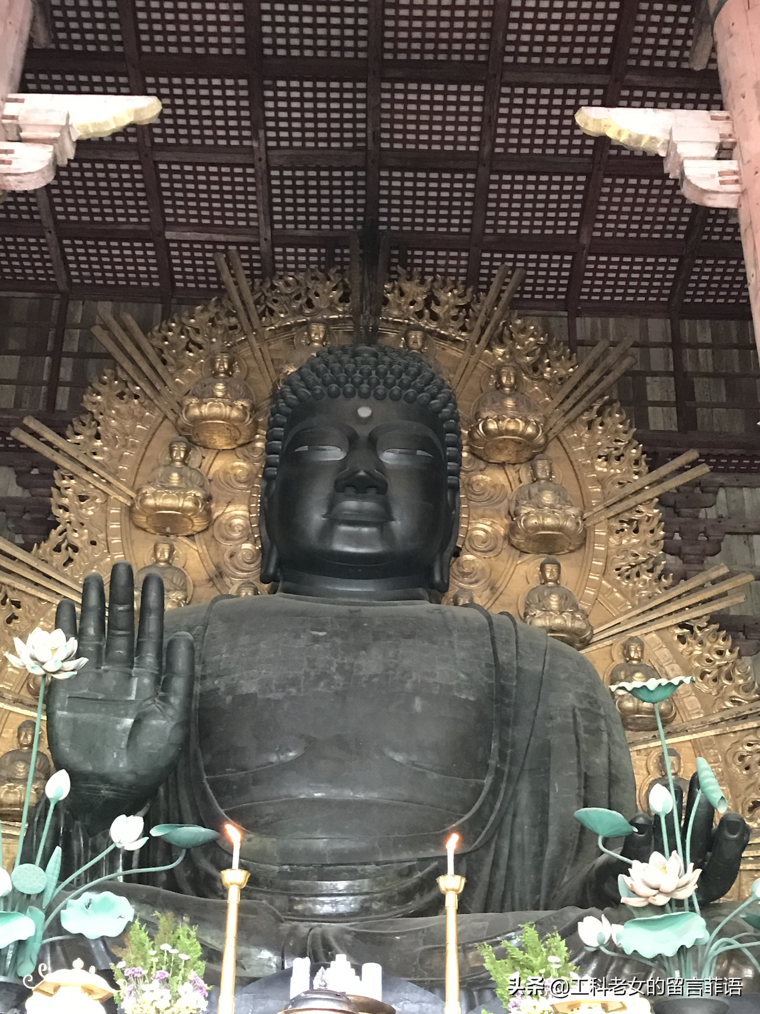 奈良东大寺大佛殿和太和殿,奈良东大寺位置地图图片