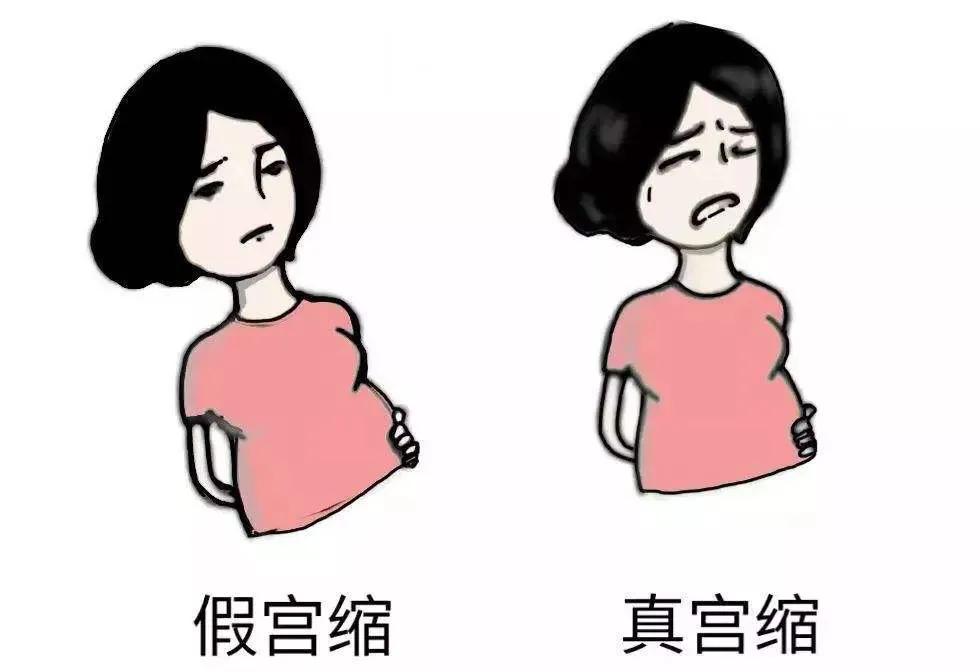 科普生孩子小知识,生理科普生孩子