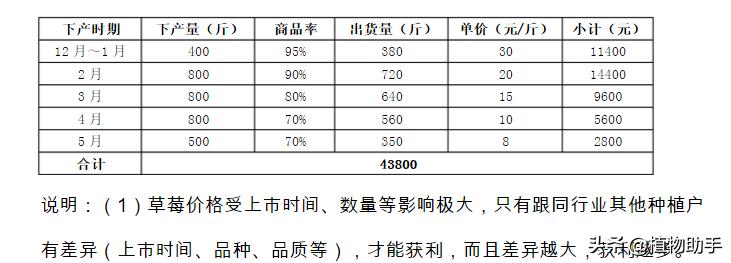 农村现在种什么比较赚钱,农村现在种什么比较值钱