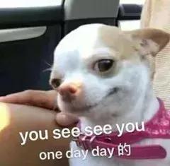 宋慧乔为何可以红这么多年,宋慧乔何穗惊艳亮相