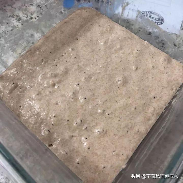 面包里的微小生命，酵母菌和它的朋友们