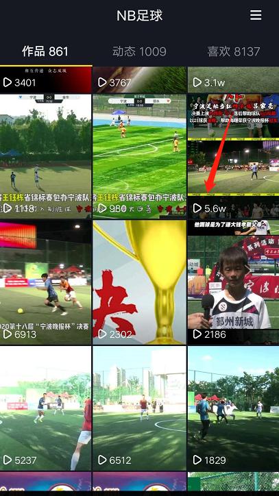 海曙好美秋千成为新科冠军！“宁波晚报杯”成人组圆满落幕