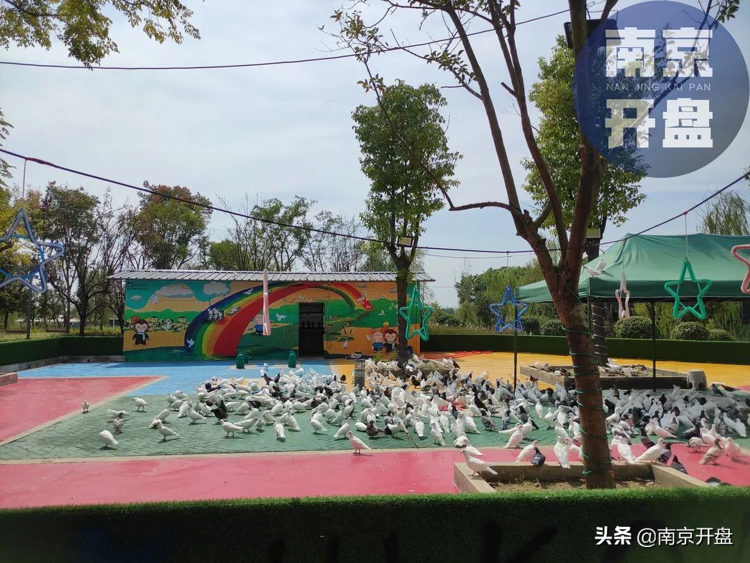 南京又一新晋潮流地标,南京爆红的网红景点