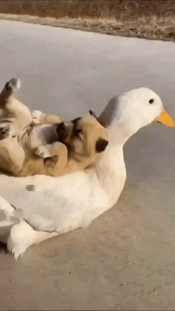 把中间的门店租下来取什么名字好,租下门面不知道取什么名字