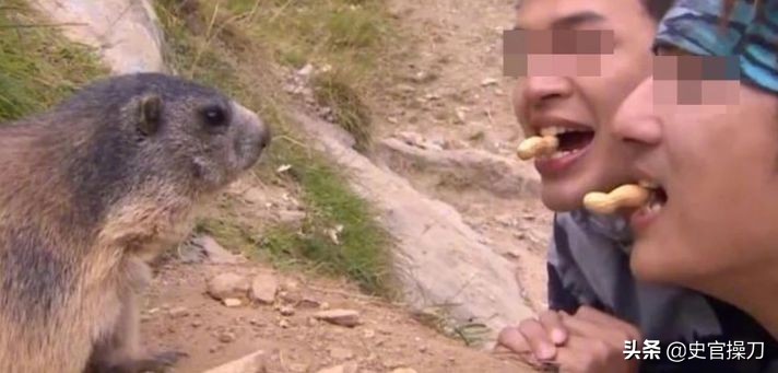 中国第一个诺贝尔奖提名的人,第一位诺贝尔奖的华人