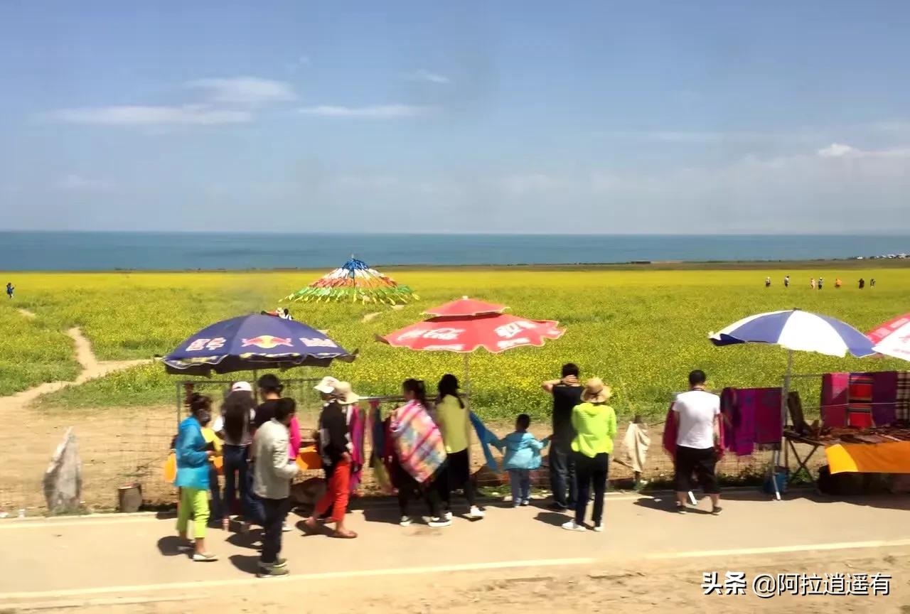 青海湖旅游小环线攻略路线推荐,暑假青海湖三日游旅游攻略