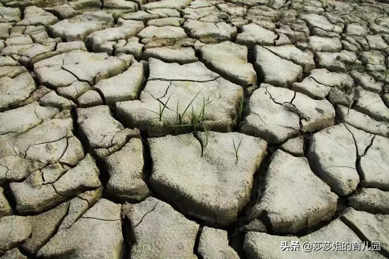 孩子的舌头有裂纹，红点意味着什么？吃什么能够去除？