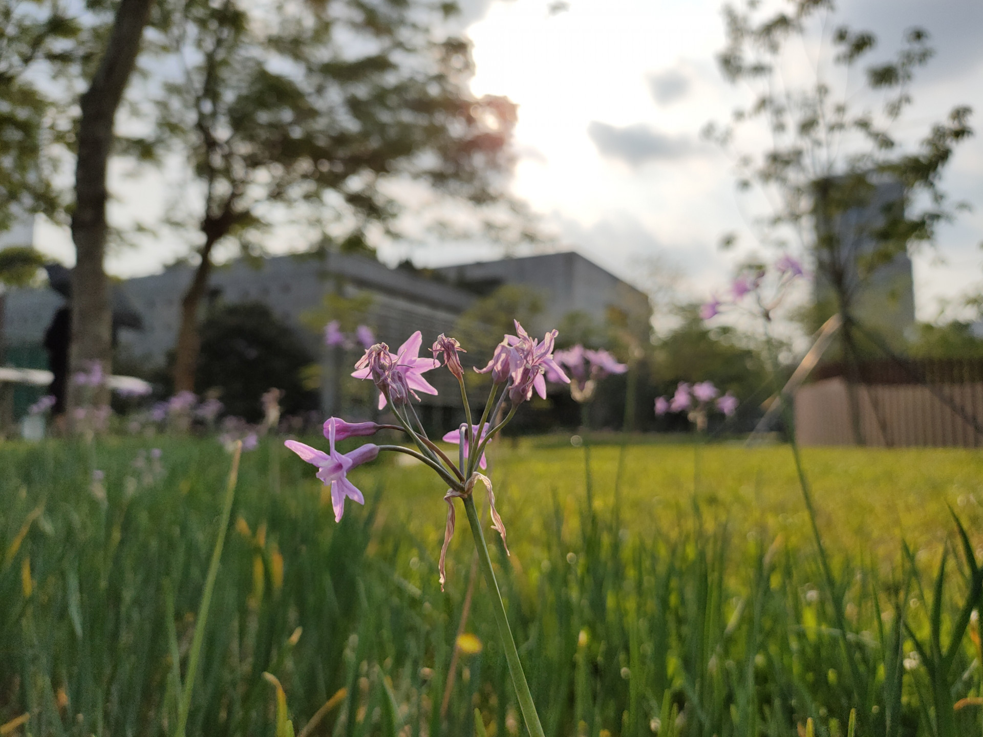 renoace测评相机,renoace口碑