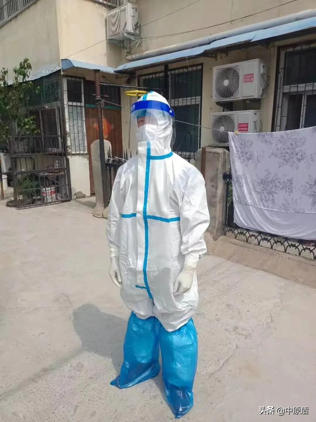 河南大学生志愿者出征,河南大学生志愿服务