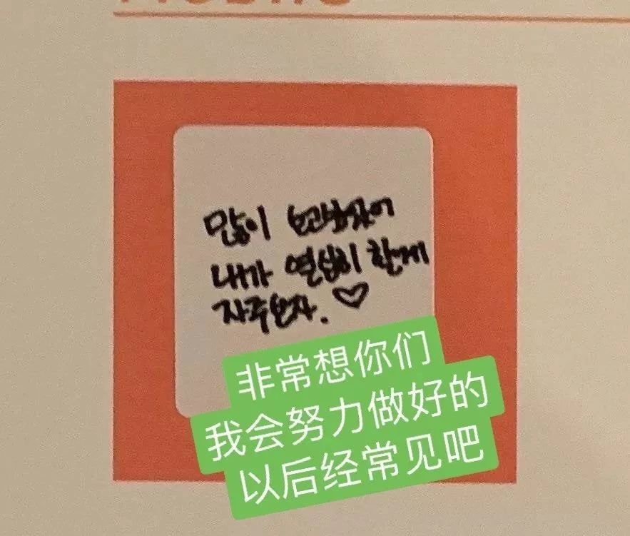 粉了这么久的南韩小野马，你真的了解她吗？