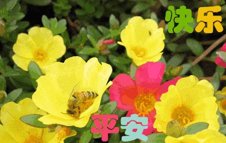 3.2,祝你今日精力棒棒,生机多多,心境好好,一切都好!