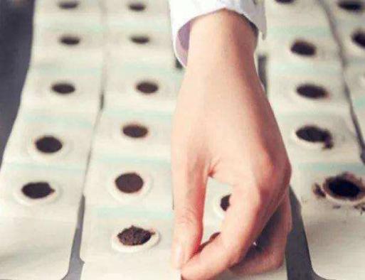 兖矿新里程总医院中医科主任,三伏贴医院贴的视频