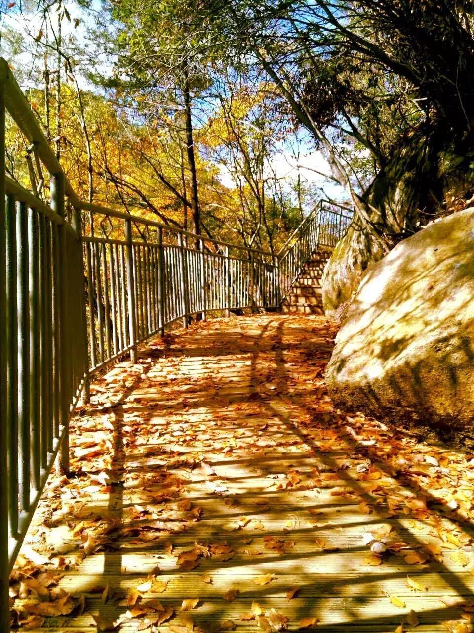 四川巴中为什么被誉为红军之乡,四川巴中出名吗