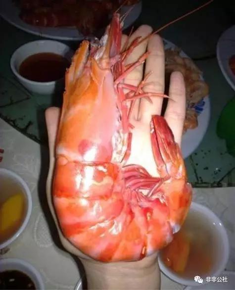 湛江游玩打卡攻略路线,湛江行程攻略