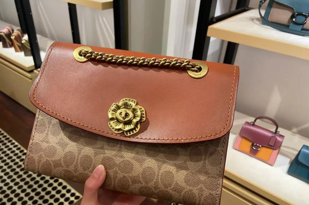 蔻驰的哪款包包最经典,蔻驰的包包哪个系列最好