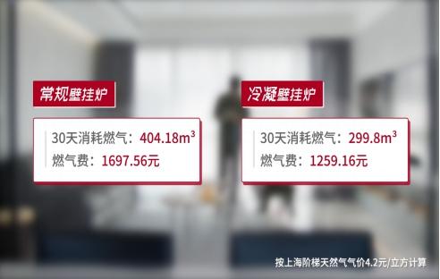 阿里斯顿壁挂炉最具有冷凝功能吗,阿里斯顿冷凝式壁挂炉评测