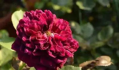 每天学习一点点女性小常识,每天学习一点点科普一下