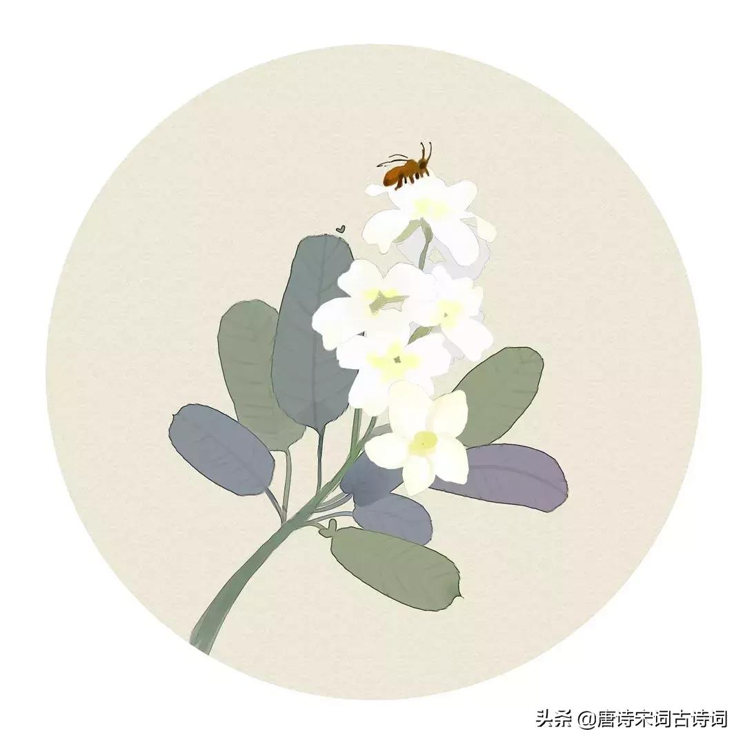 100首关于夏天的唯美古诗词,100首夏日古诗词