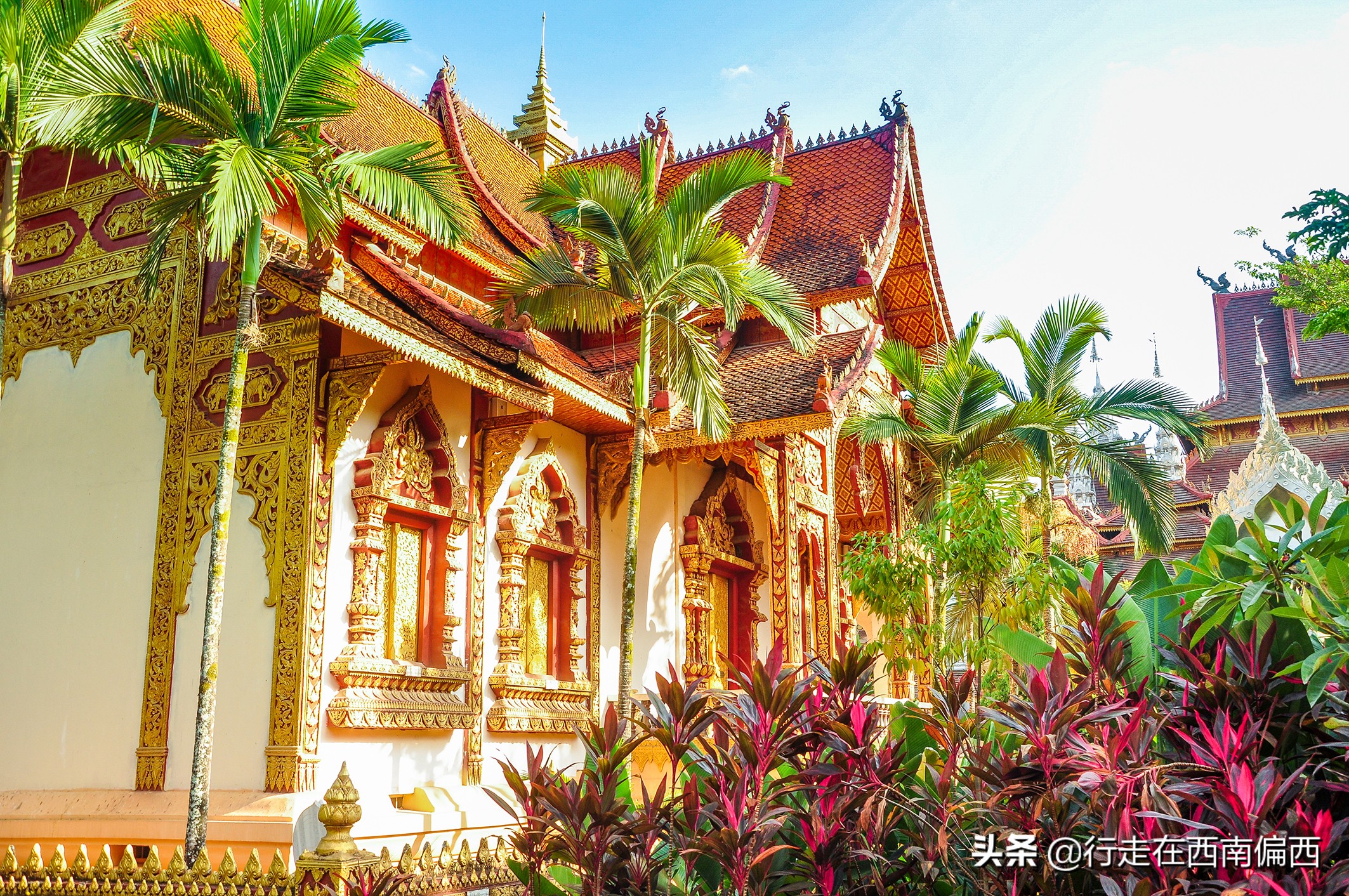 西双版纳五树六花中心,西双版纳五树六花地理位置