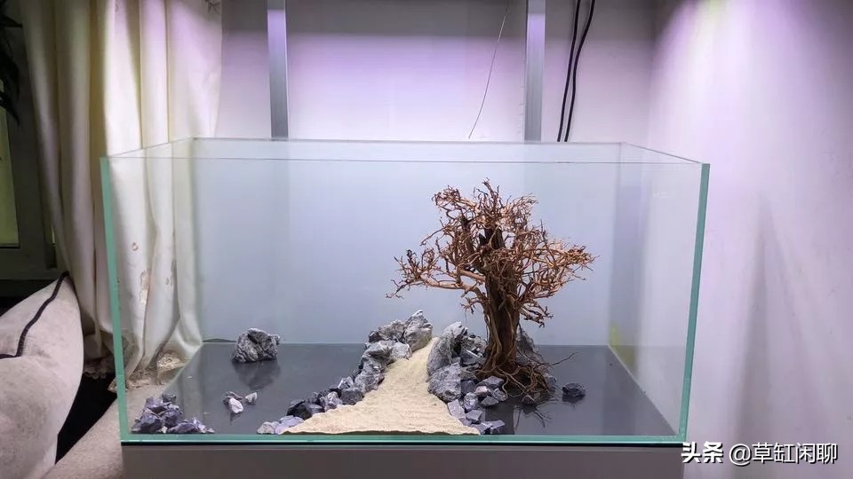 草缸造景新手入门,造景为什么一定要沉木或者杜鹃根