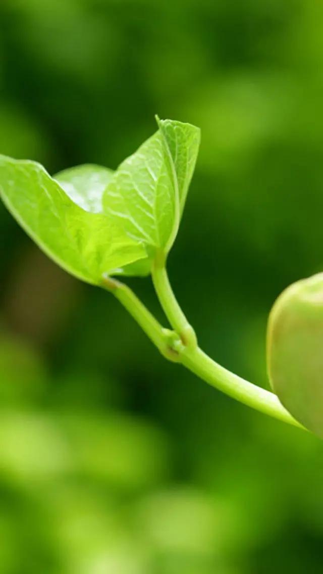 白岩松经典语录感悟人生哲理 (白岩松经典语录集锦好的变成坏的)