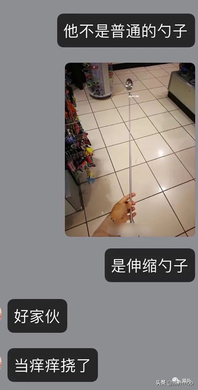 沙雕图|闺蜜是网恋终结者吧？