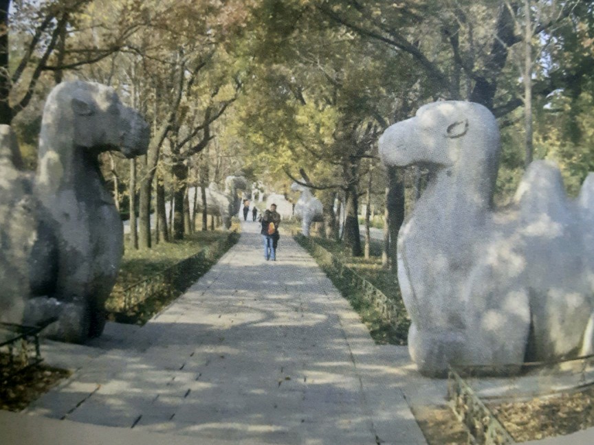 宋代官员的帽子为什么安两个长翅,宋朝官员的帽子为什么有两根长翅