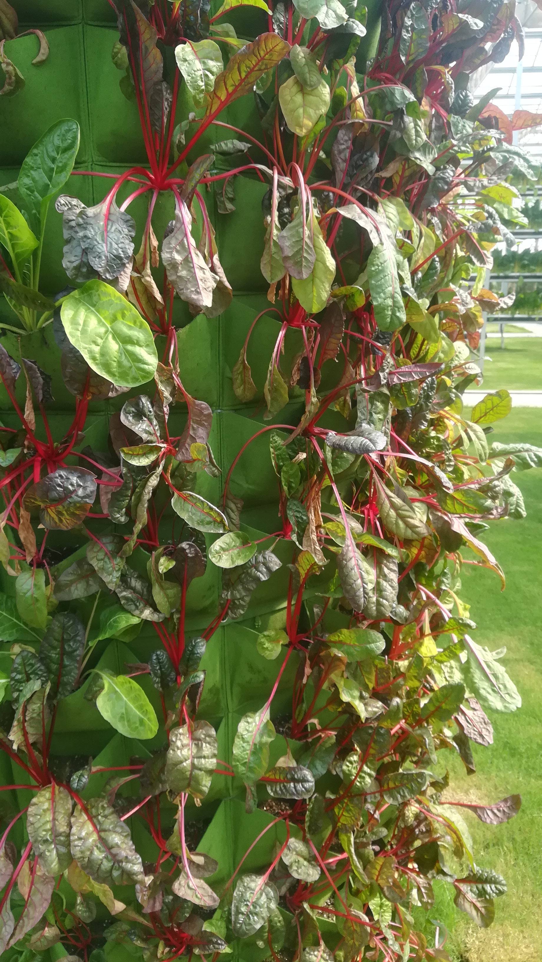 徐水神农庄园的农科园介绍,徐水炎帝神农庄园